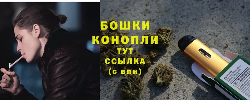 где найти   Воткинск  Шишки марихуана SATIVA & INDICA 